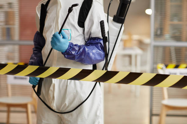 Professional Sewage Cleanup technician working in Edgewood, MD
